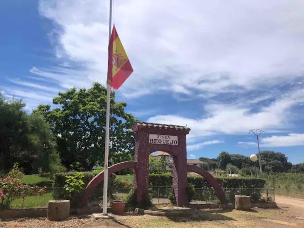 Casa Rural Finca Requejo Cerca De Benavente Tr 49426 Manganeses de la Polvorosa Exteriör bild